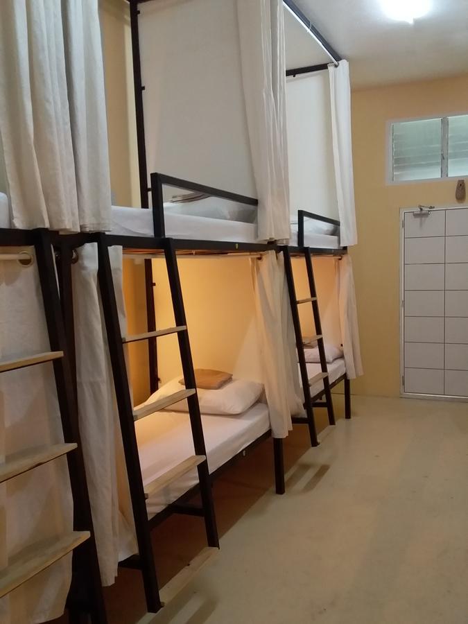 Bunk Bed Mixed Dormitory Room