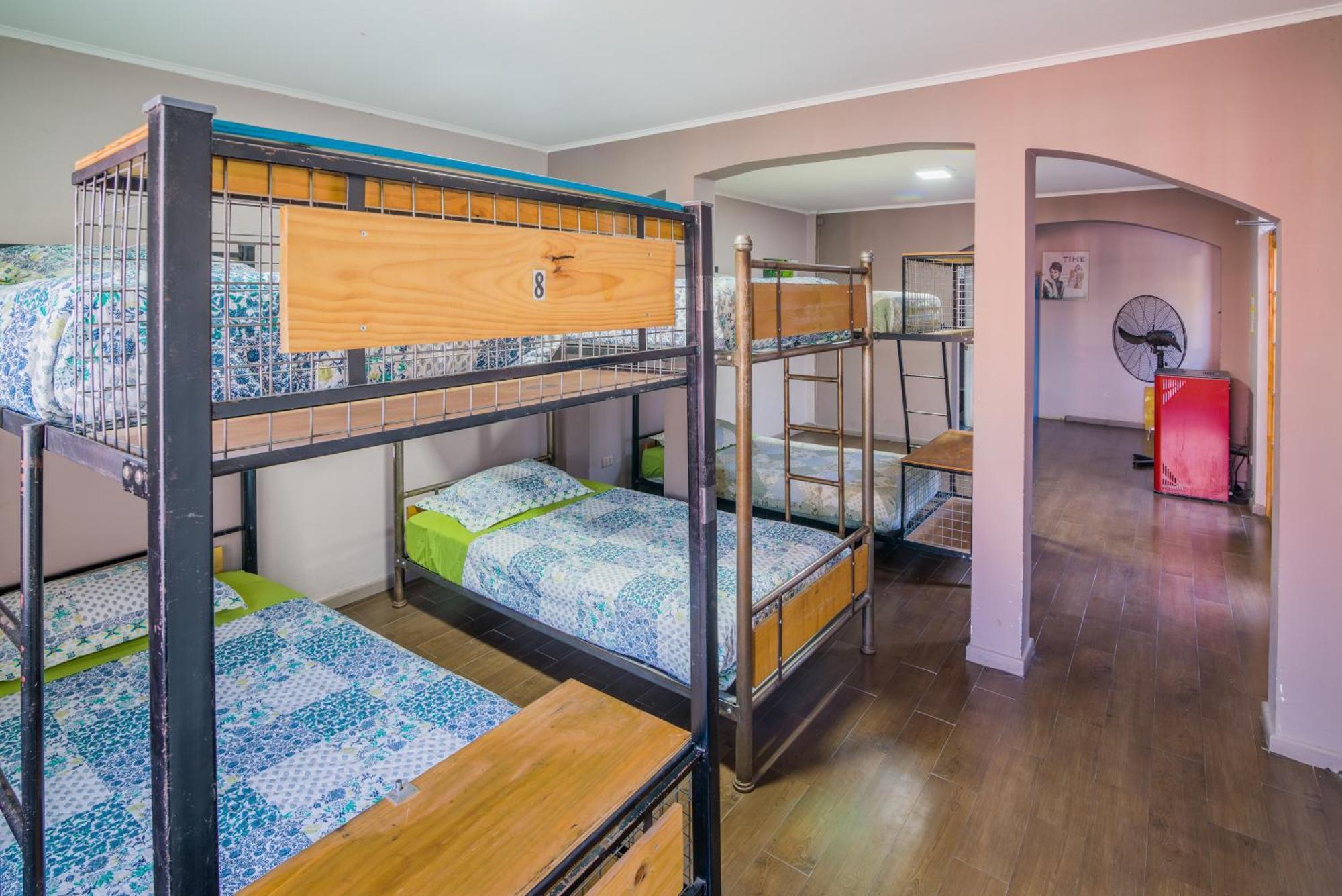 Bed in 8-Bed Dormitory Room