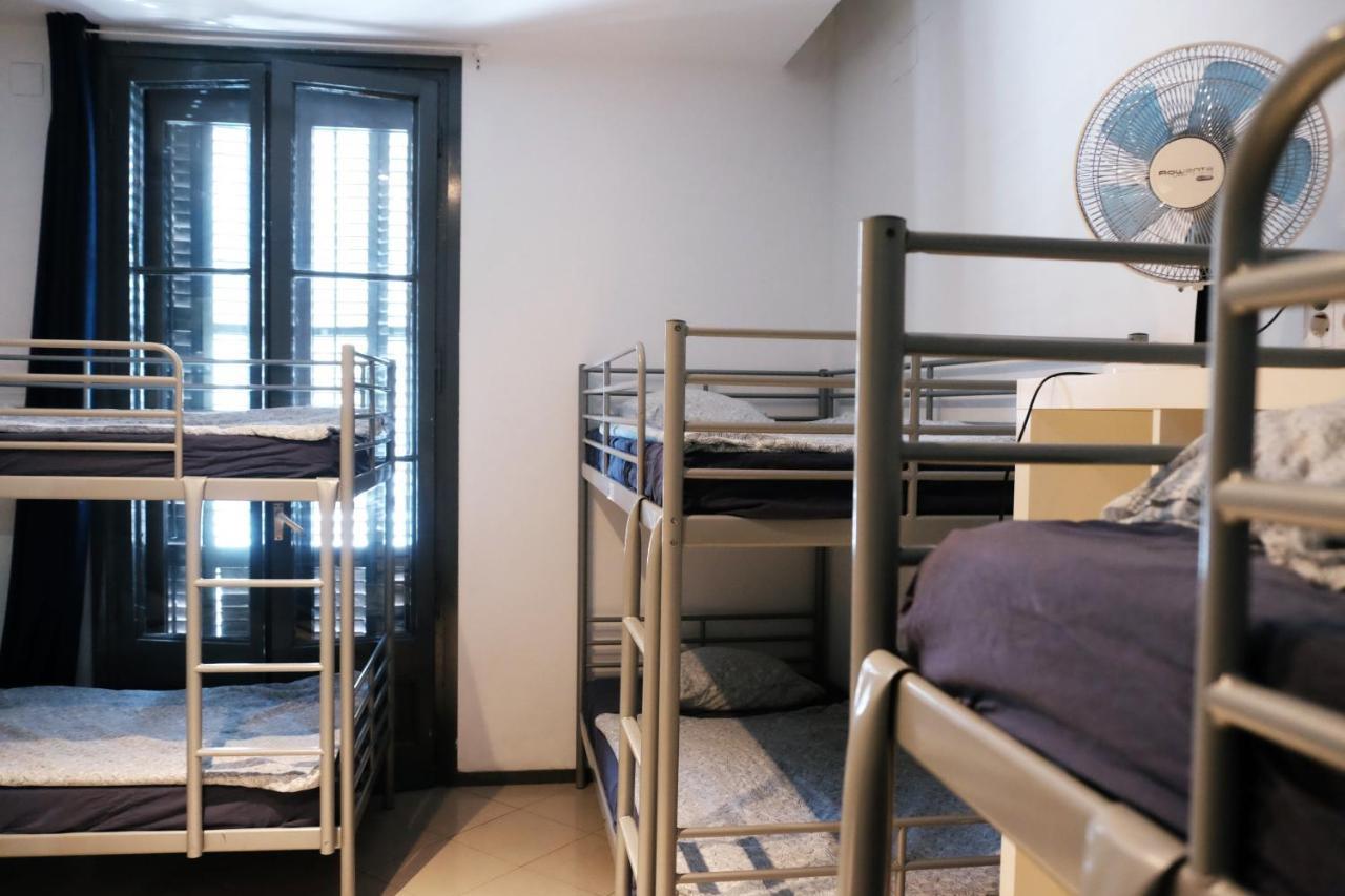Bunk Bed in 8-Bed Mixed Dormitory Room,696960777:JPEG