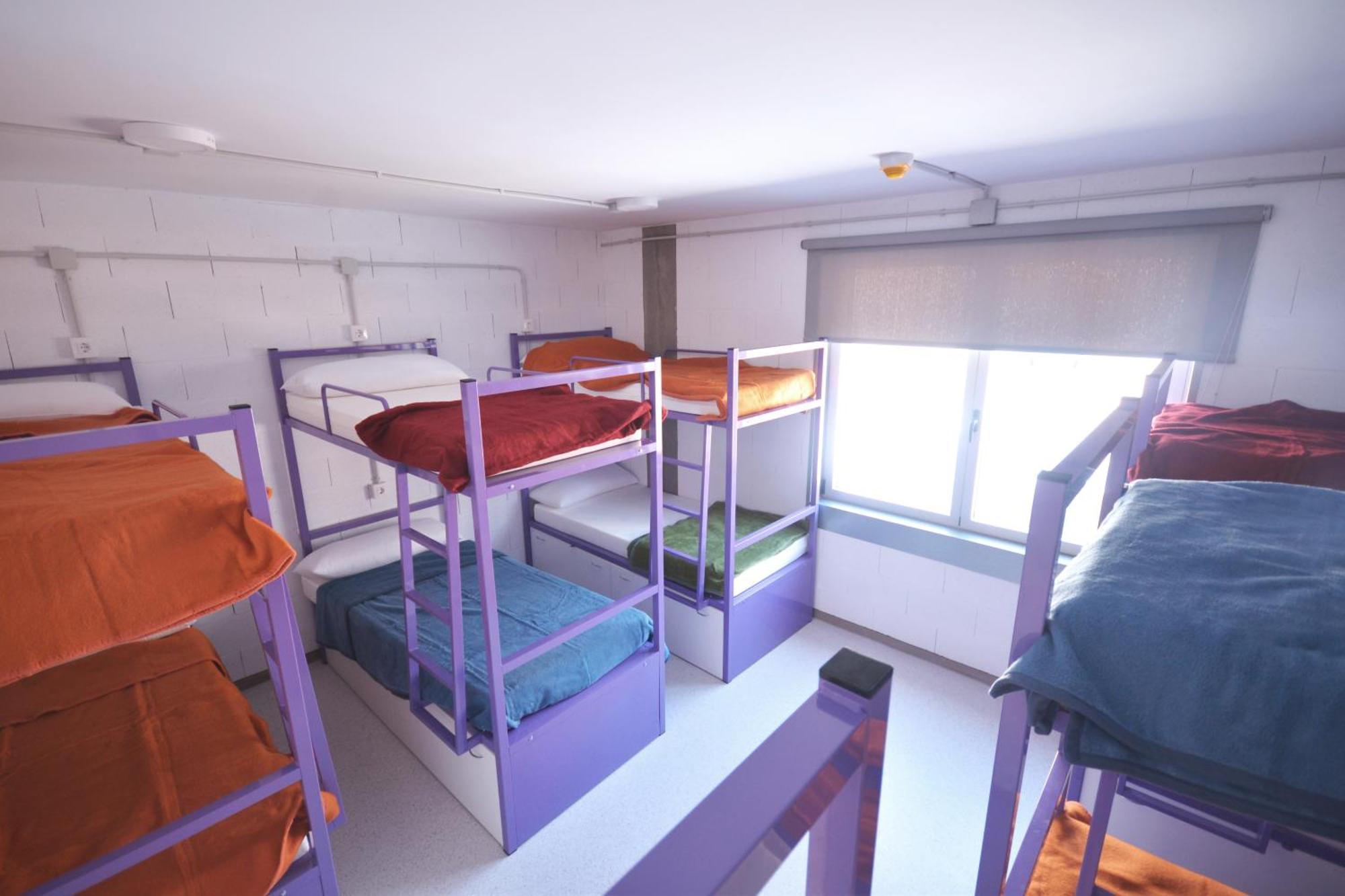 Bed in 12-Bed Mixed Dormitory Room with Shared Bathroom