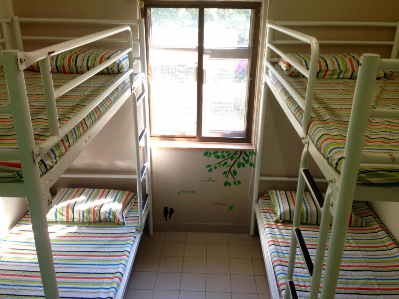 1 Bed 4-Person Male Dormitory,639228120:JPEG