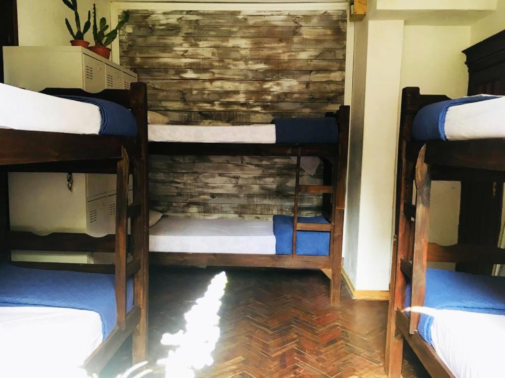 Bed in 6-Bed Mixed Dormitory Room