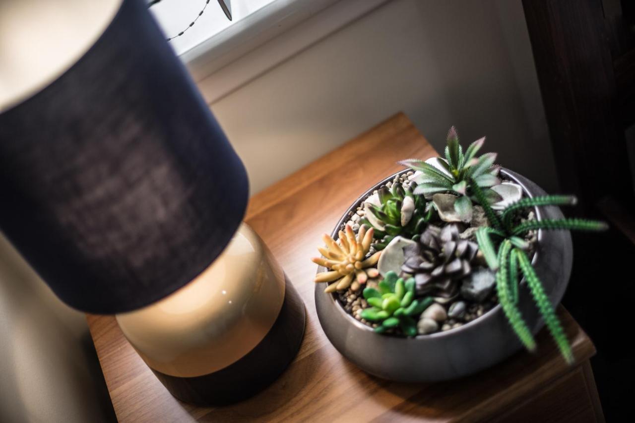 Single Room,776116252:JPEG