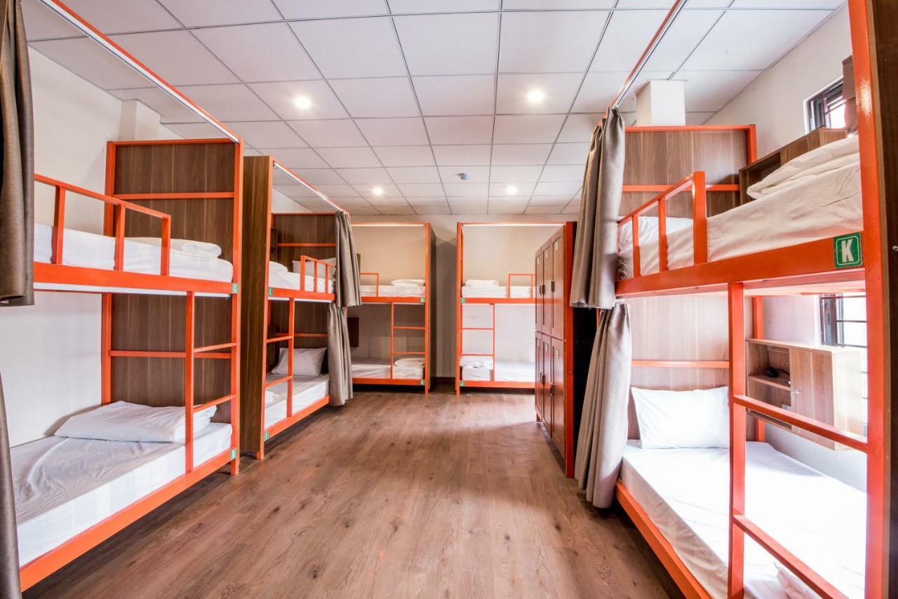 Bunk Bed in Mixed Dormitory Room,779540406:JPEG