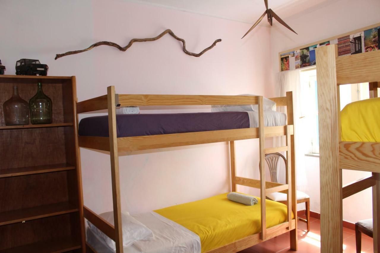 Bunk Bed in Mixed Dormitory Room,803372595:JPEG
