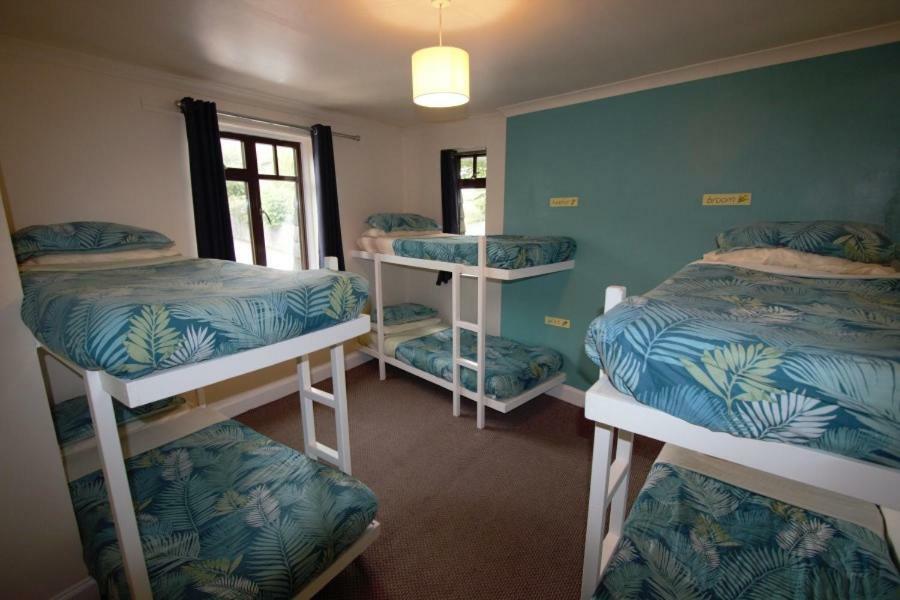 Bed in 6-Bed Mixed Dormitory Room