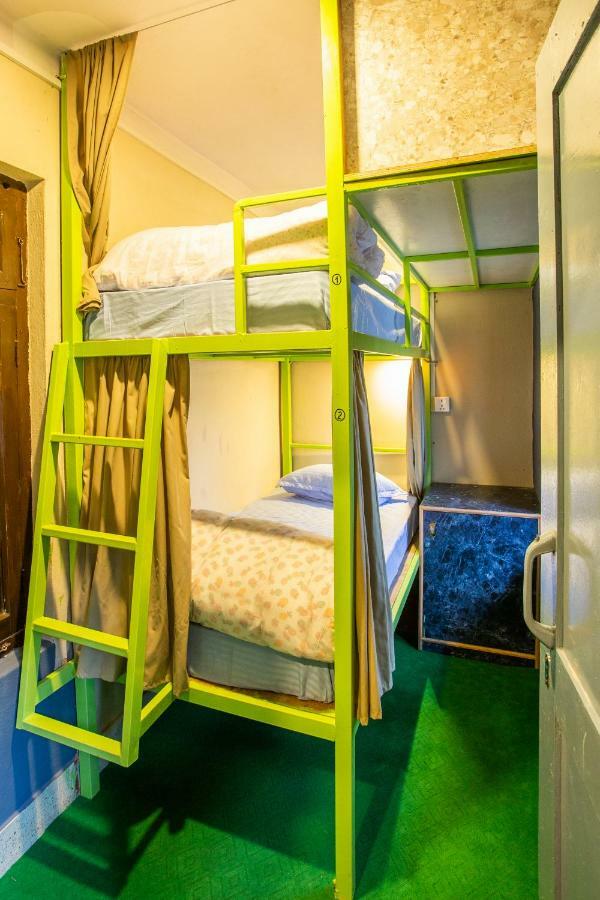 Bunk Bed Mixed Dormitory Room,893743303:JPEG