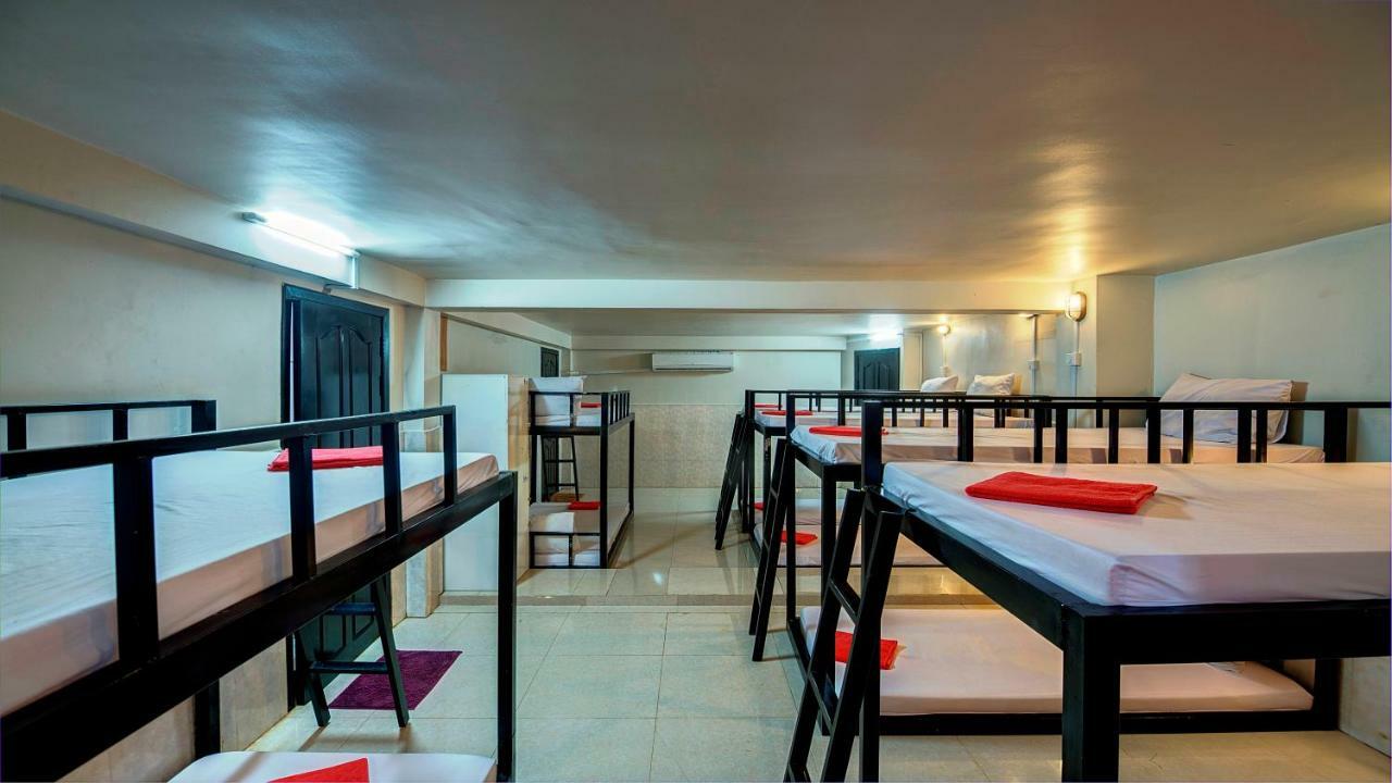 Single Bed 12-Bed Mixed Dormitory Room