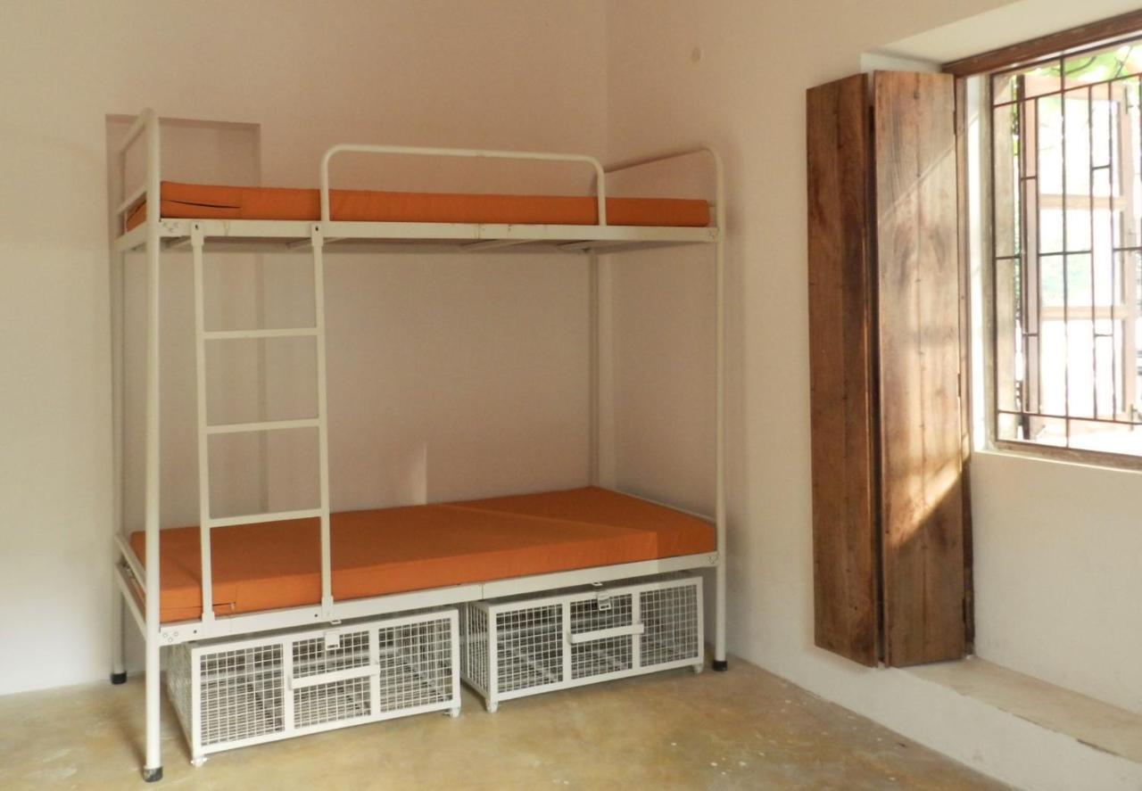 Bunk Bed Mixed Dormitory Room,1304674102:JPEG