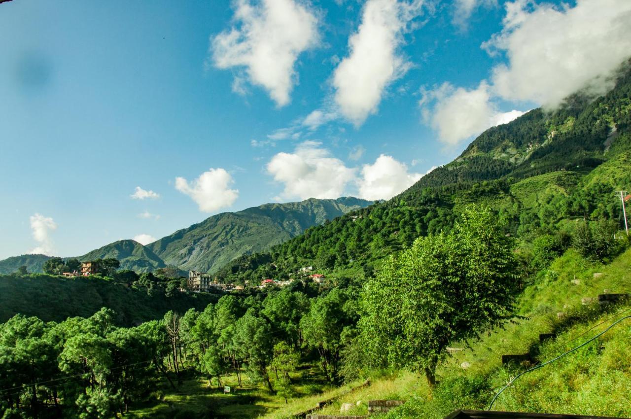 Double Room with Private Bathroom,1743087068:JPEG