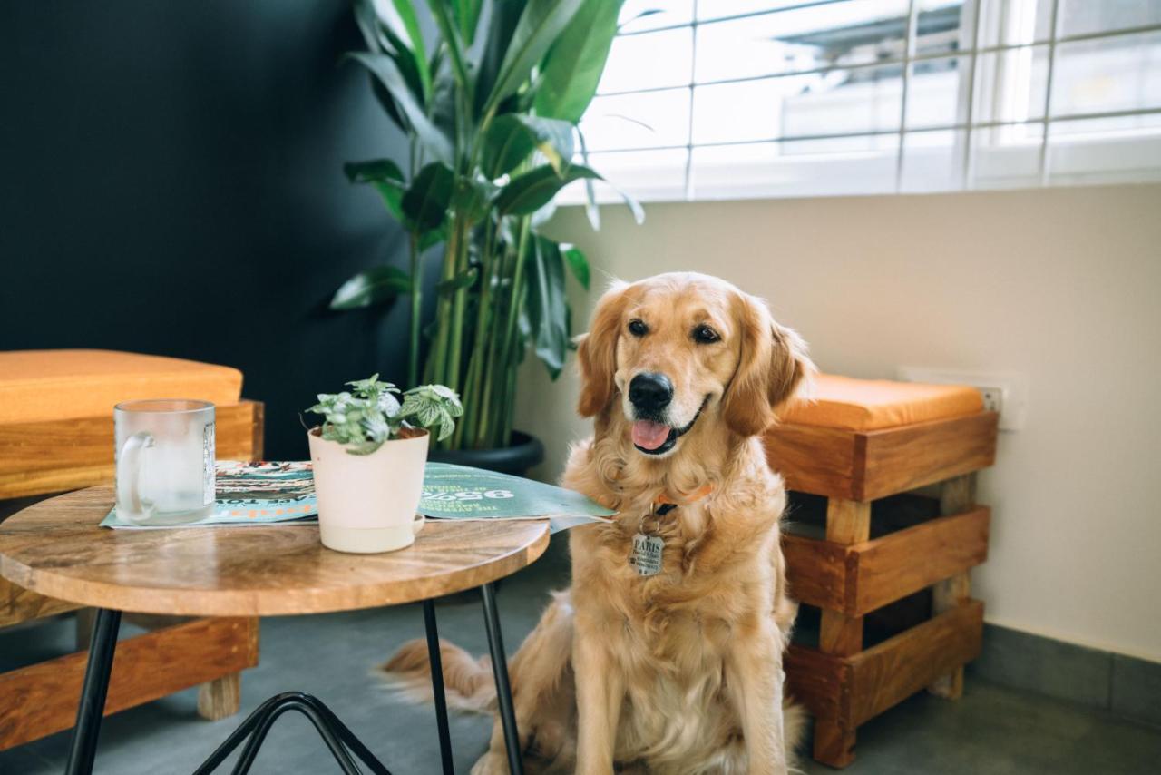 Standard Twin Room,972887254:JPEG