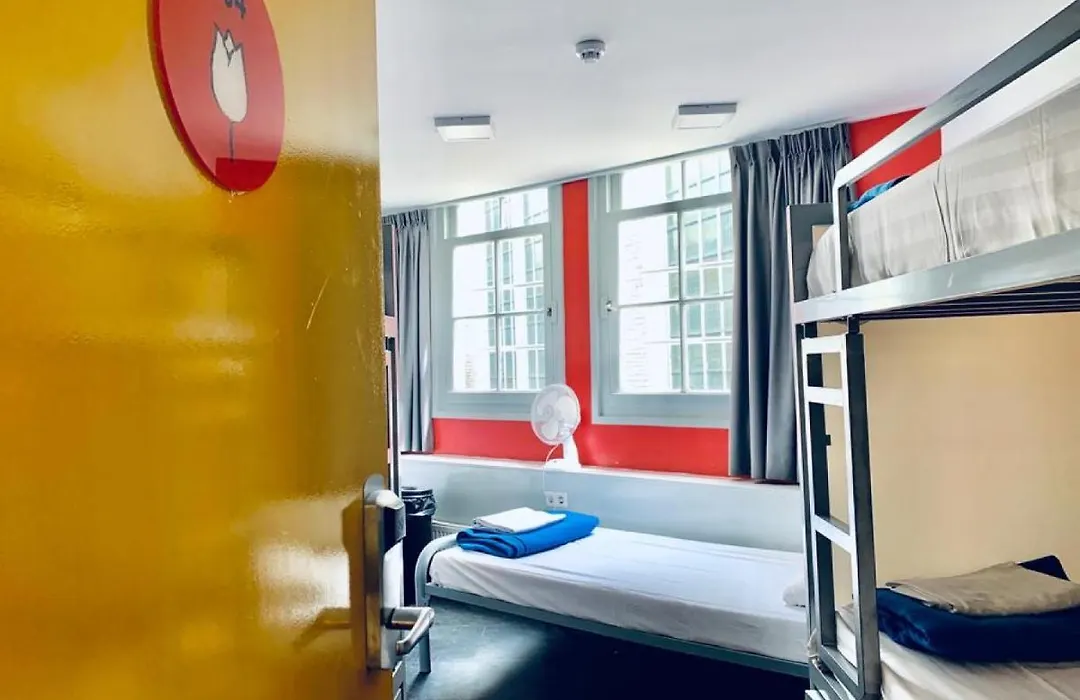 The White Tulip Hostel-1