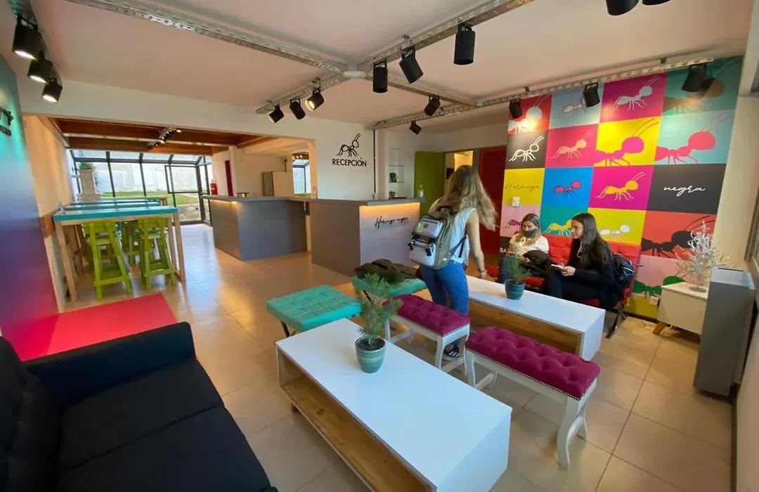 Hormiga Negra Hostel & Cafe-1