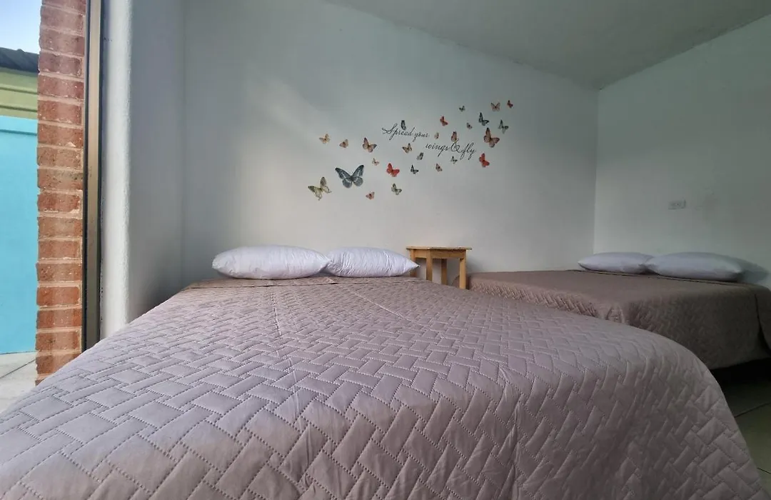 Central Hostel Zona 10-1