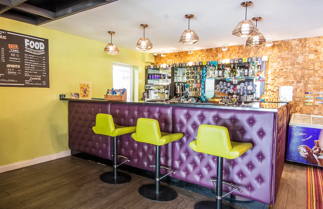 Safestay London Kensington Holland Park (Adults Only)-1