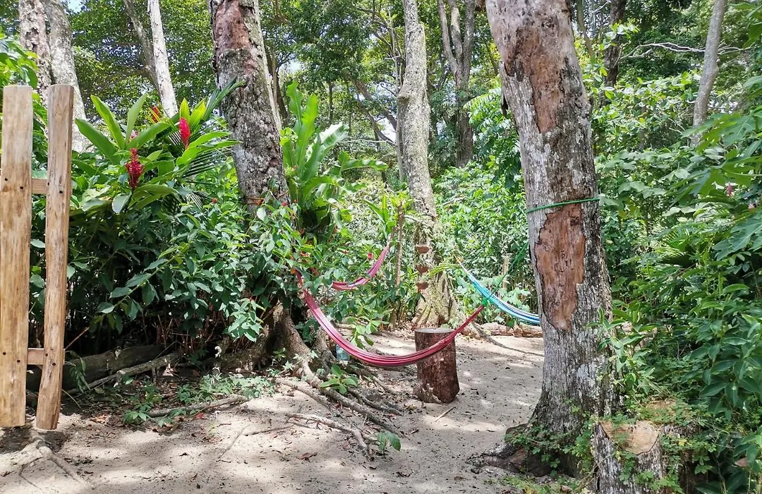 Oasis Beachfront Hostel-1