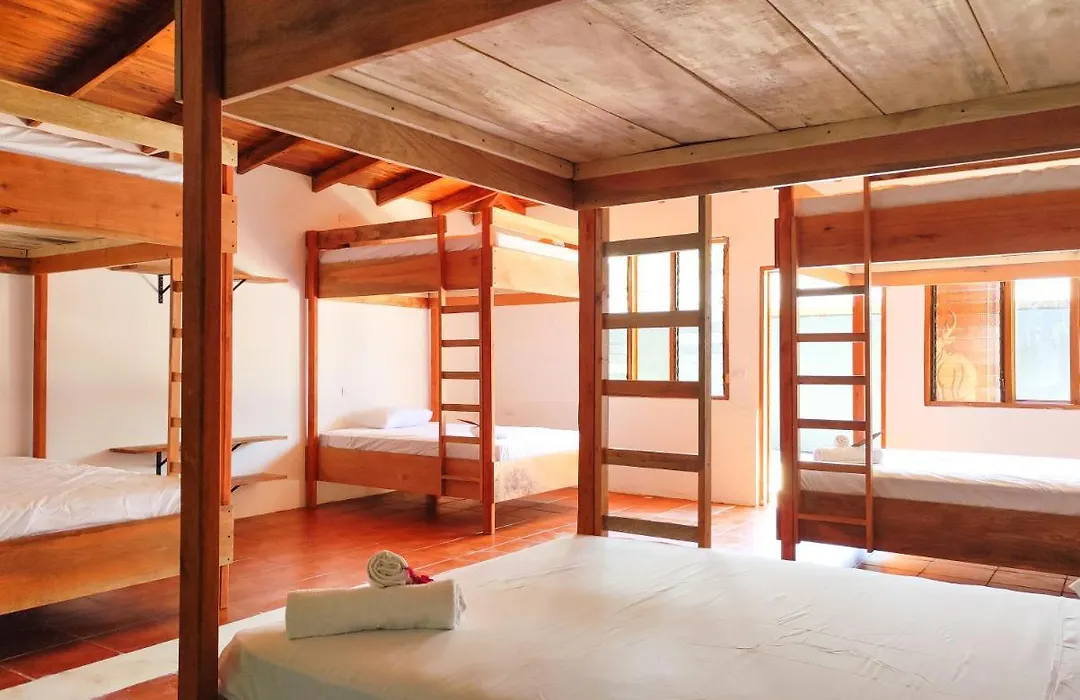 Ico Living Hostel-1