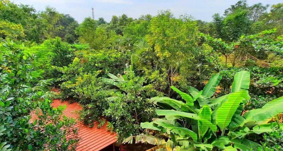 Unearth Hostel-1