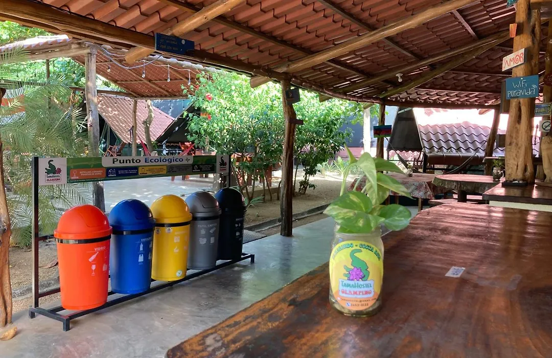 Tamahostel & Glamping-1
