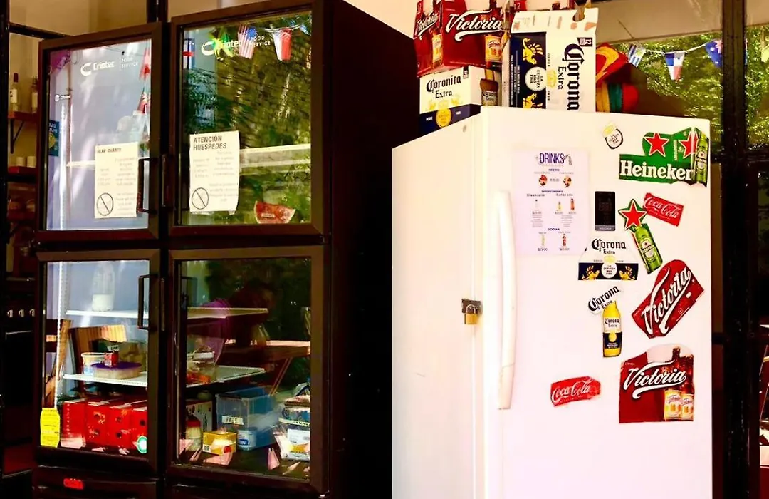 Leveli Coliving & Hostel Guadalajara-1