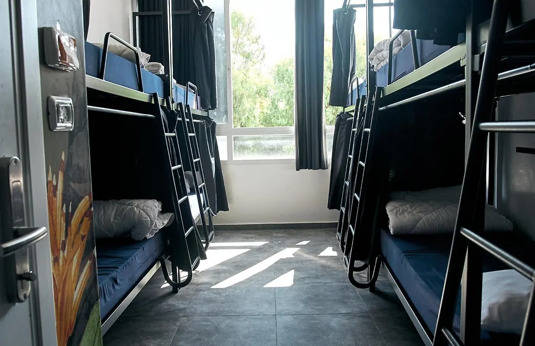 Jungle Jaffa Hostel Age 18 To 45-1