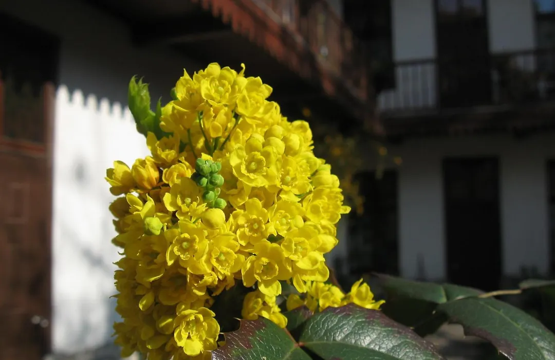 Globtroter Guest House-1