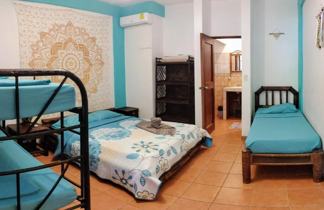 Cool Vibes Beach Hostel-1