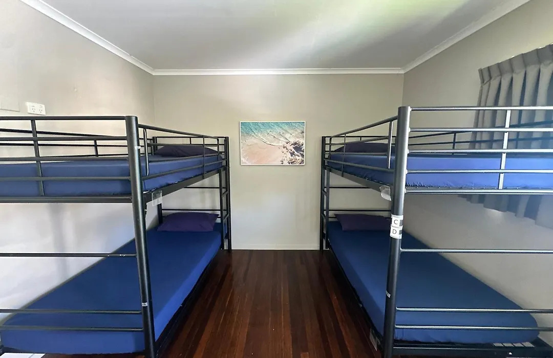 Backpackers In Paradise - 18 To 40 Years-1
