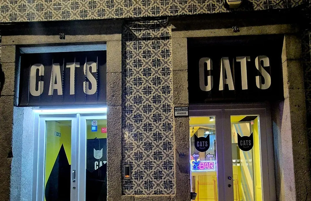 Cats Porto Hostel-1