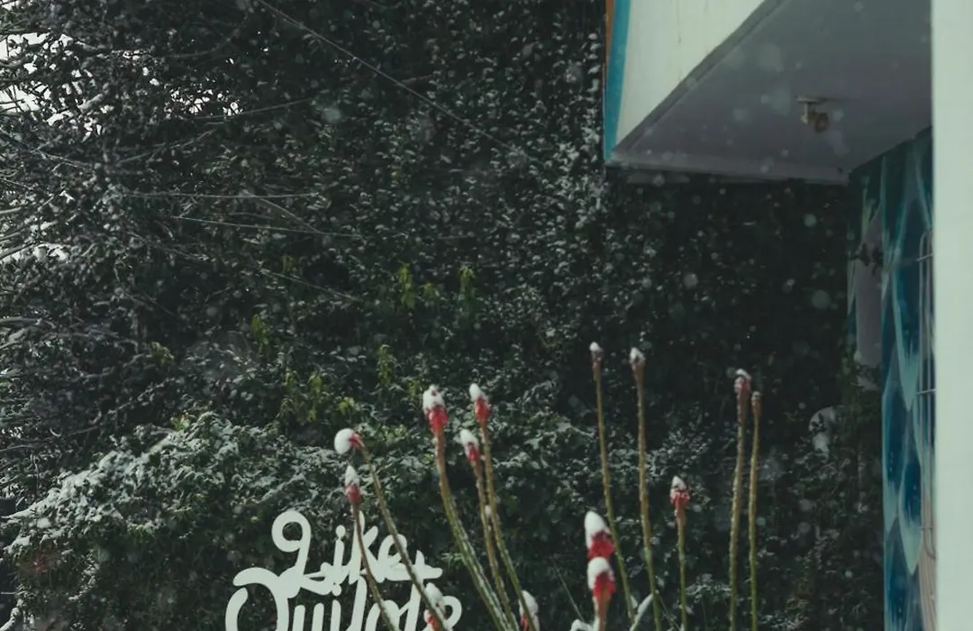 Hostel Like Quijote-1