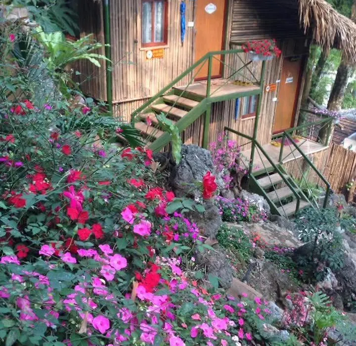 Green Hill Hostel & Tour-1