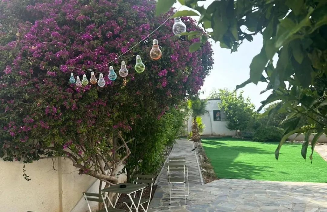 Hostl - Beds & Rooms - The Hostel Inn Paphos, Old Town-1