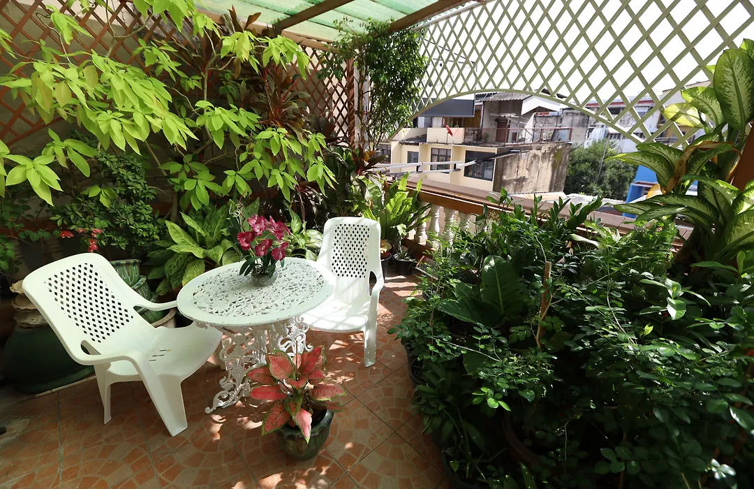 Thai Cozy House-1