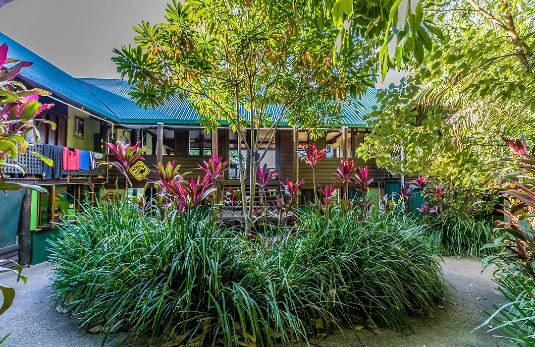 Jackaroo Treehouse Rainforest Retreat-1
