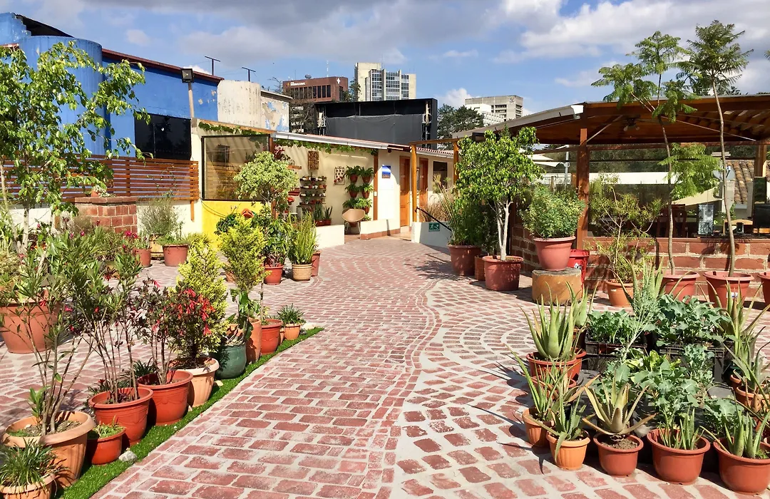 Quito Terrace-1