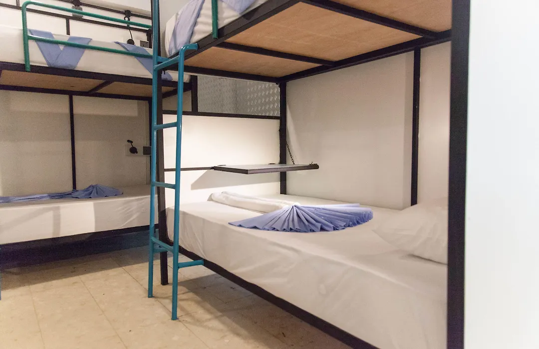 Bunky Monkey Hostels-1