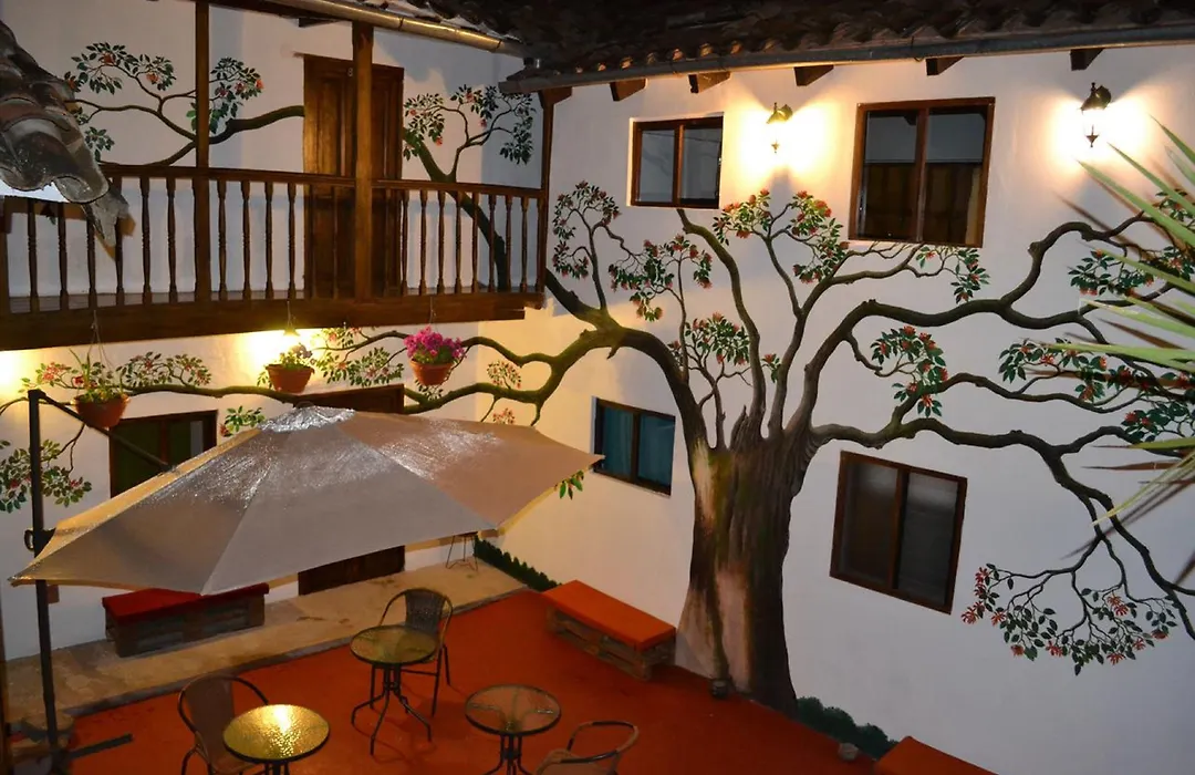 Tucan Hostel-1