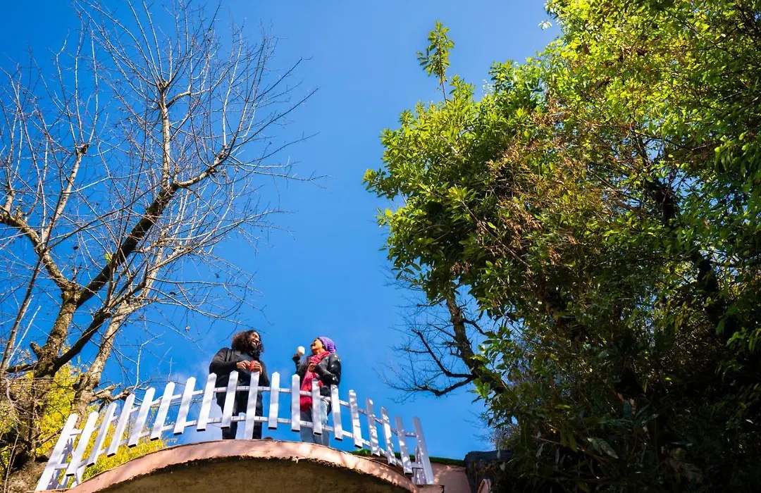Zostel Plus Mussoorie, Kempty-1