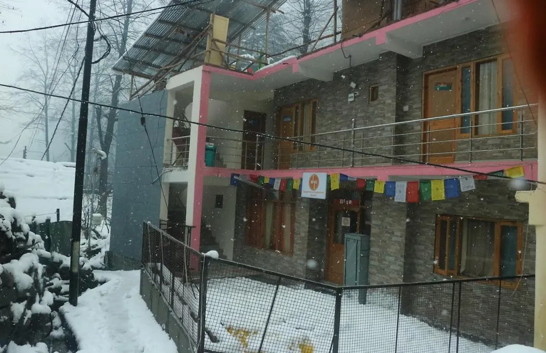 Backpackers Headquarter Manali-1