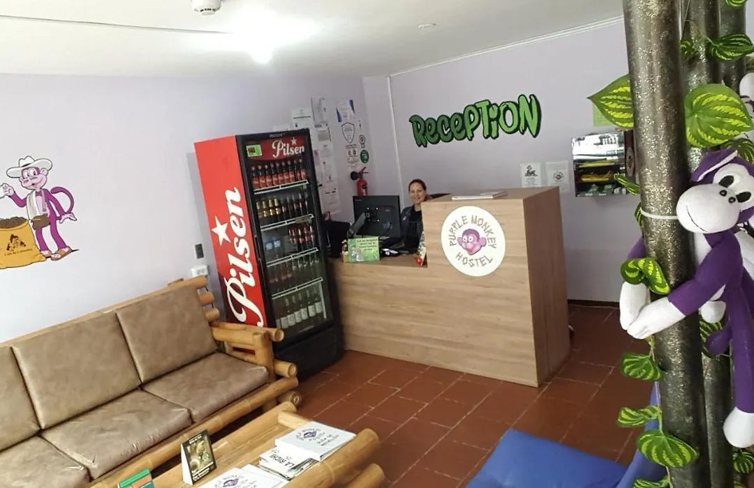 Purple Monkey Hostel-1