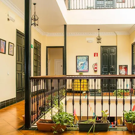 Onefam Centro-3