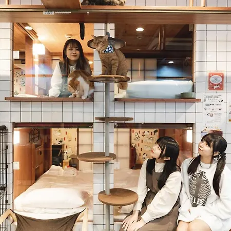 Cat Spa & Cat Ryokan By Neco Republic Osaka-2