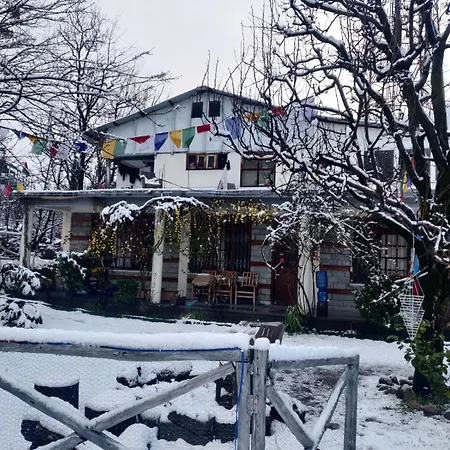 Mars Monkey Hostel & Cafe-3