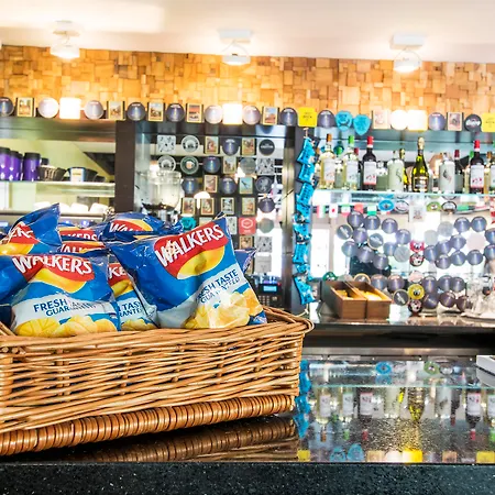 Safestay London Kensington Holland Park (Adults Only)-2