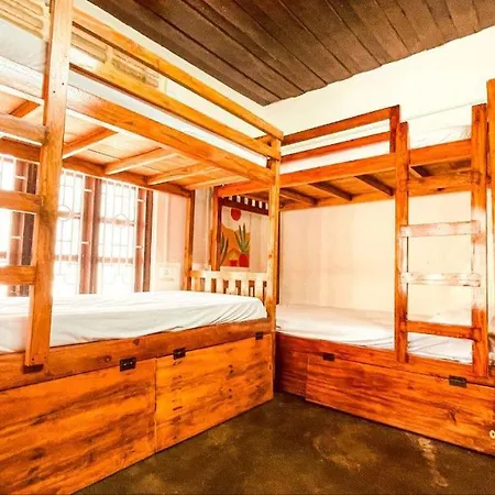 Zebra Hostels-2