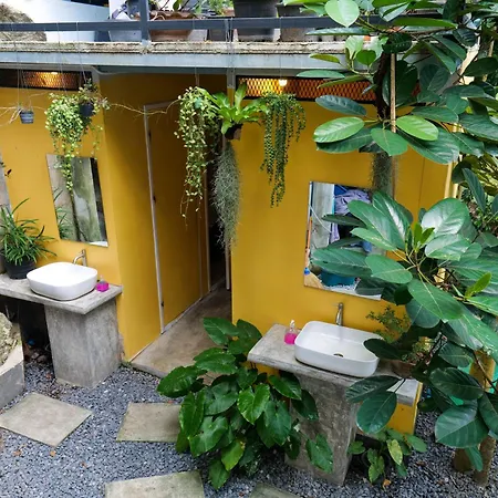 Deishaview Jungle Hostel-2