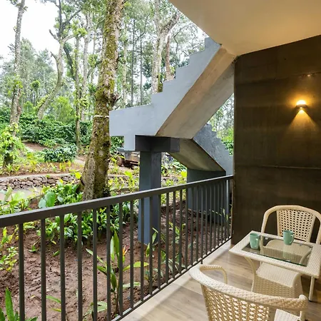 Zostel Coorg, Madikeri-3