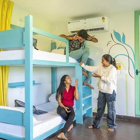 Zostel Pondicherry, Auroville Road-3