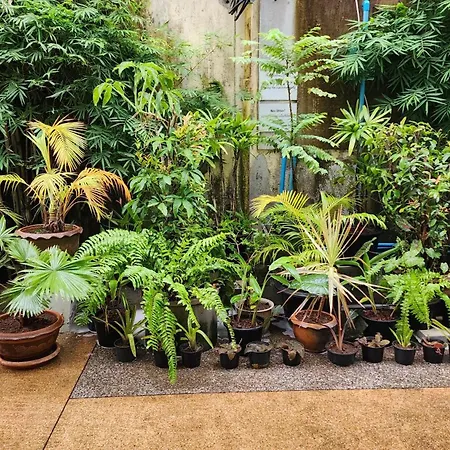 Irest Ao Nang Hostel-3