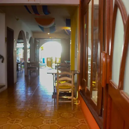 Geckos Hostel-2